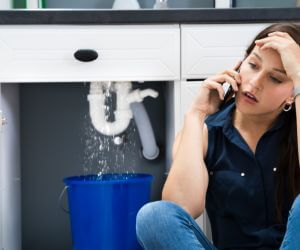 About Emergency plumbing pros New Munich, MN